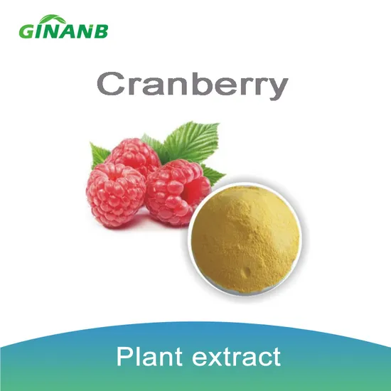 High Quality Cranberry Powder 100% Natural Freeze Dried Fruit Cranberry Extract