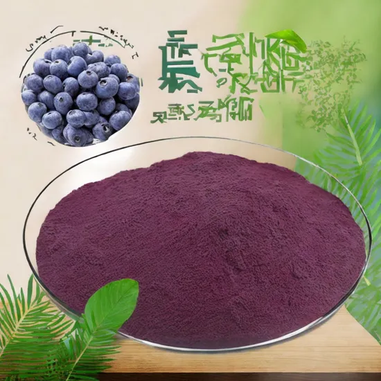 High-Quality Blueberry Extracts for Enhanced Wellness and Vitality Blueberry Extract 10: 1 Blueberry Powder Water Soluble Raw Material Spot Supply