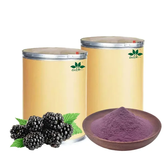 Natural Mulberry Fruit Extract Powder for Antioxidant Support Drinking Powder