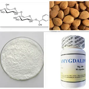 Amygdalin 98% laetrile b17 Capsules