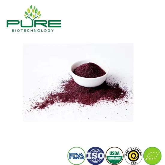 Premium Organic Acai Powder for Enhanced Health and Wellness