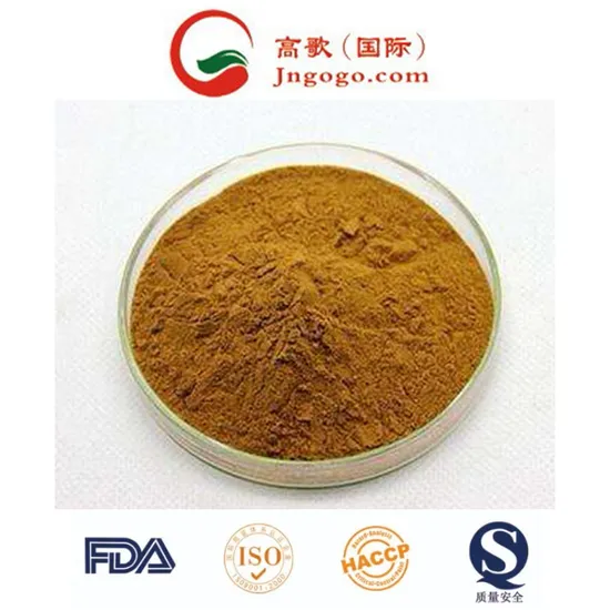 Passion Fruit Powder Passion Flower Powder