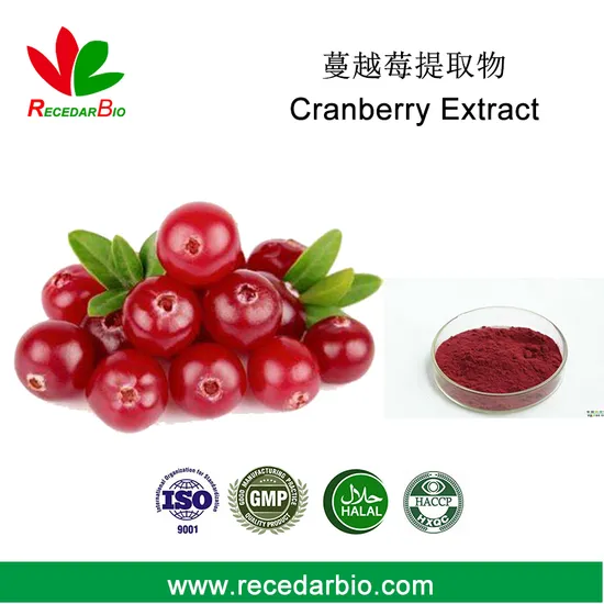 1% to 25% Fruit Extract Anthocyandins Powder Cranberry Extract for Immune Health