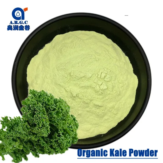 Kale Powder Powder Kale Powder 100% Organic Kale Extract Powder