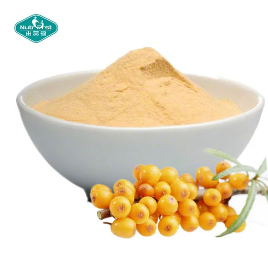 Wholesale 100% Herb Freeze-Dried Seabuckthorn Fruit Extract Hippophae Rhamnoides Powder
