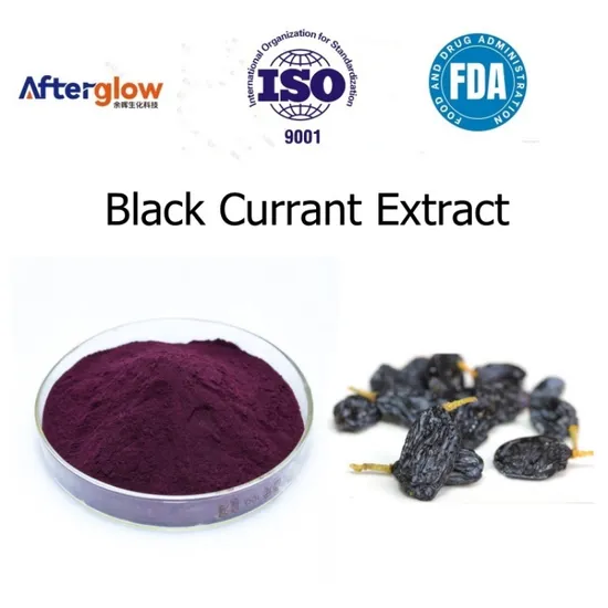 Wholesale Anthocyanidins 25% Proanthocyanidins Powder Black Currant Extract