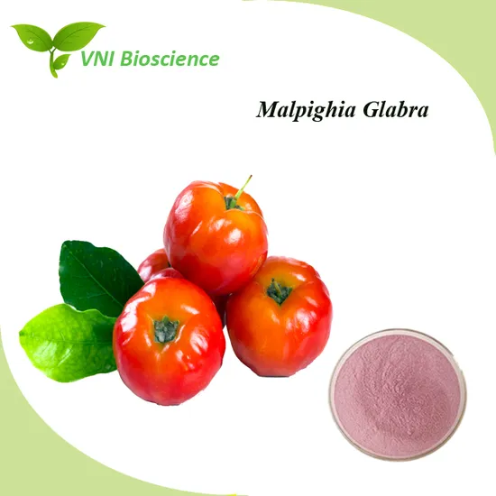 Kosher Halal Kosher Certified 100% Natural Acerola Powder