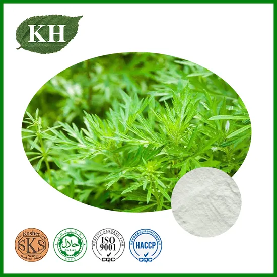 Anti-Inflammatory Artemisia Annua Extract 99% Artemisinin