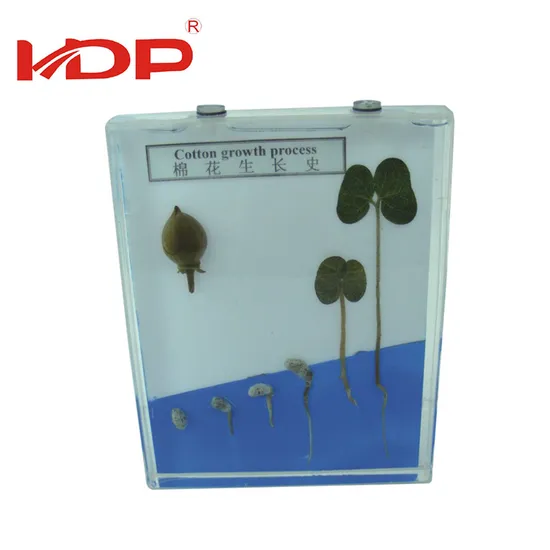 Customized Design Community Educational Toys for Kids