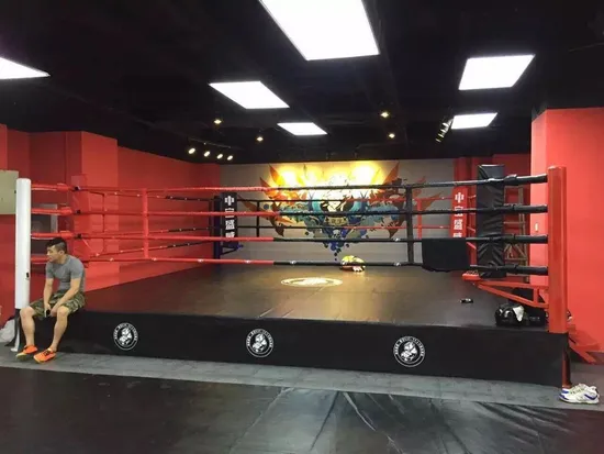 Floor Type Octagonal Cage Boxing Ring Used Octagon MMA Cage for Sale Factory Price