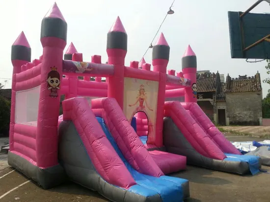 2023W Inflatable Big Water Slide for Adults and Kids