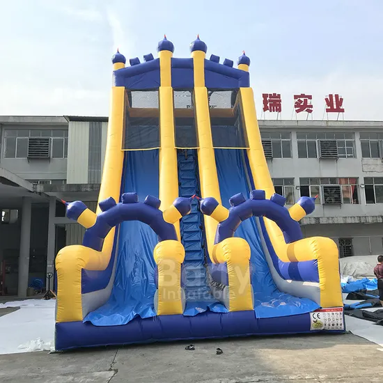 Customized Heavy Duty Outdoor Commercial Water or Not Inflatable Slide for Adults and Kids