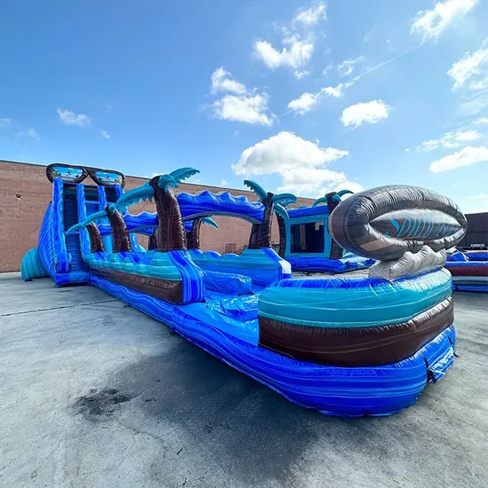 PVC Palm Tree Inflatable Water Slide Backyard Jumper Slide Water Slide for Sale