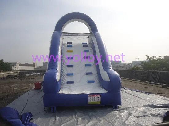 Inflatable PVC Tarpaulin Dolphin Children Inflatable Water Slide with Pool