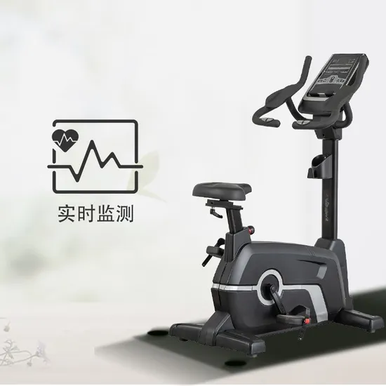Body Building Spinning Bike Commercial Use Magnetic Fitness Bike for Gymnasium