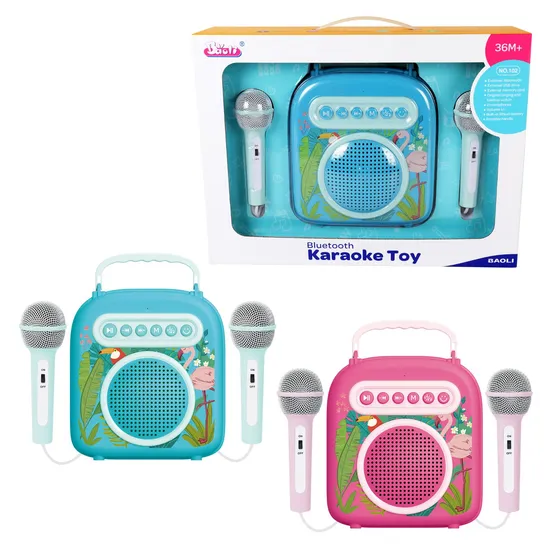 Baoli Popular Portable Karaoke Machine Toy, Perfect for Singing and Fun Play