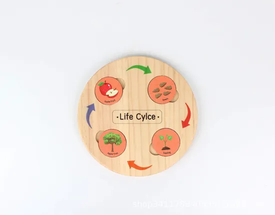Animal and Plant Life Cycle Wooden Board, Educational Toy for Kids