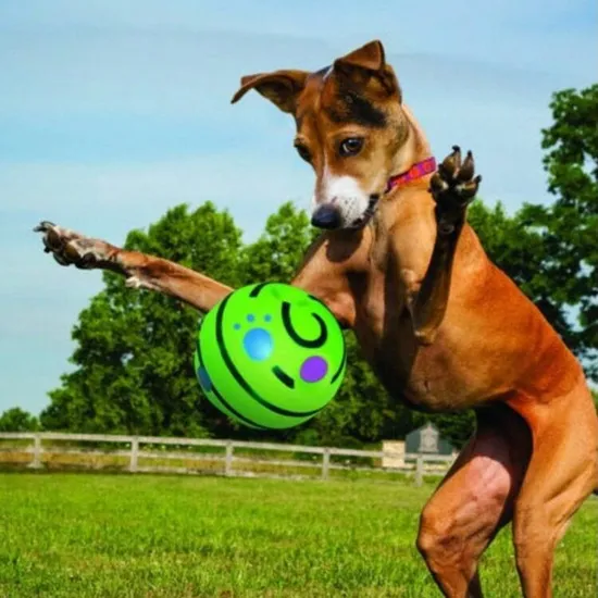 Pet Dogs Cats Playing Ball Wobble Wag Giggle Ball Safe Training Ball with Sound Toy