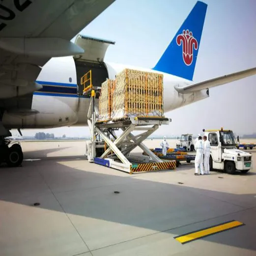 Cheap Cost International Air Shipping From Guangzhou to Menara Airport