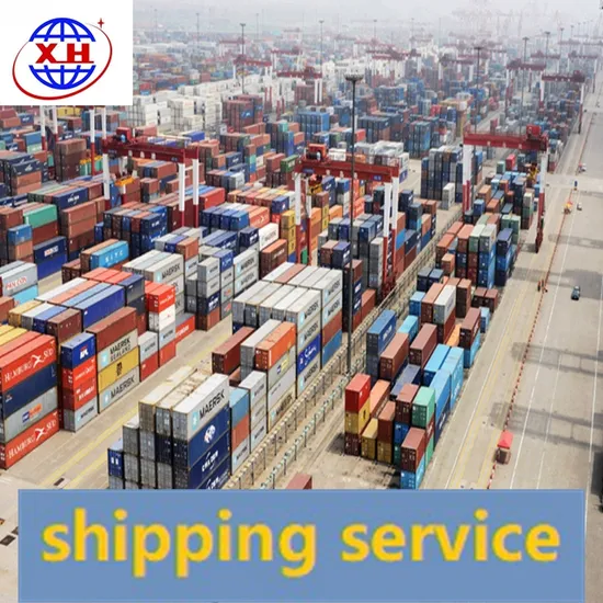 Professional Shipping Agent China to Europe Fba Amazon Sea Freight LCL DDP Service