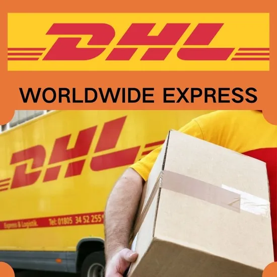 FedEx/UPS/FedEx International Express Door to Door Service From China to North America