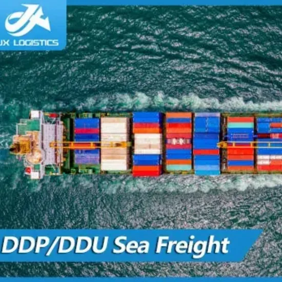 Reliable and Fast DDP Freight Agent to Worldwide