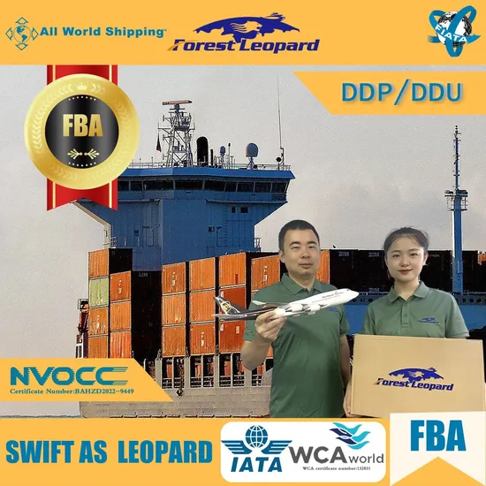 Top 10 Sea Shipping Spediteur From China to Germany Door to Door