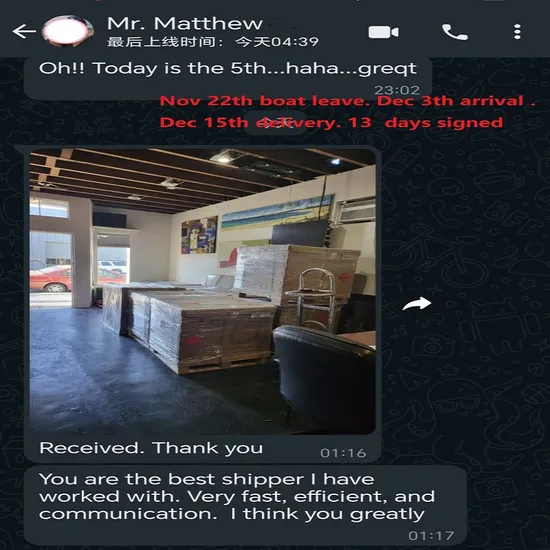 Maston Fast Ship DDP Sea Shipping UPS/FedEx Delivery Services to The USA