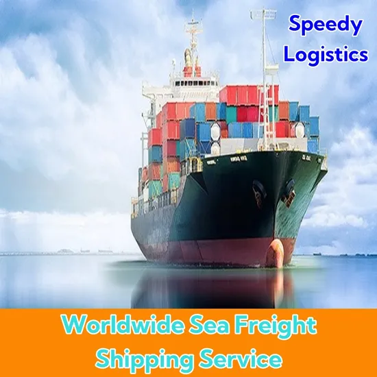 Sea Freight Forwarder to Algiers (Algeria) /USA/India/Morocco/Ghana Shipping Services