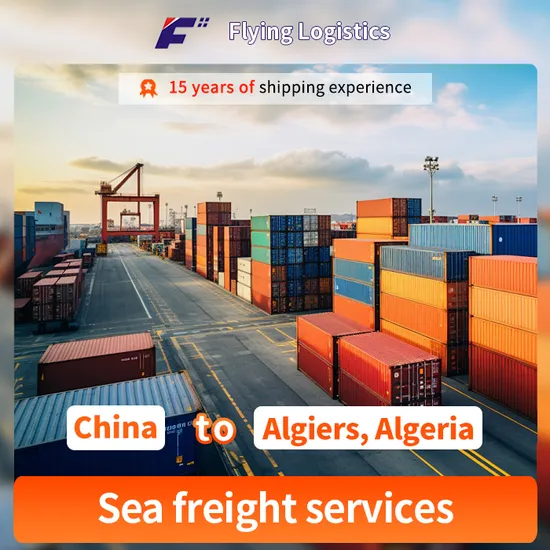 Sea Shipping Service Sea Freight From Shenzhen to Algiers, Algeria