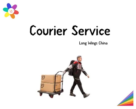 Courier Service From China for Small Fast Delivery Parcel Cargo