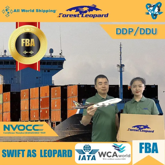 Shipping Agent Sea Shipping to Netherlands Fba Shipping Amazon Dropship to Europe