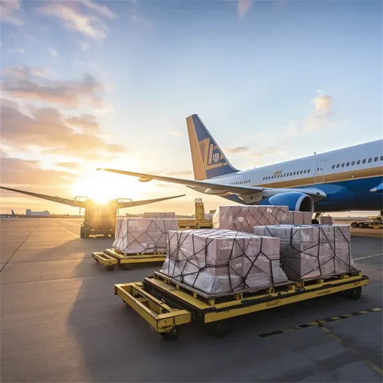 China Professional Agent Shipping Service to Europe or Sea Air Freight Agent