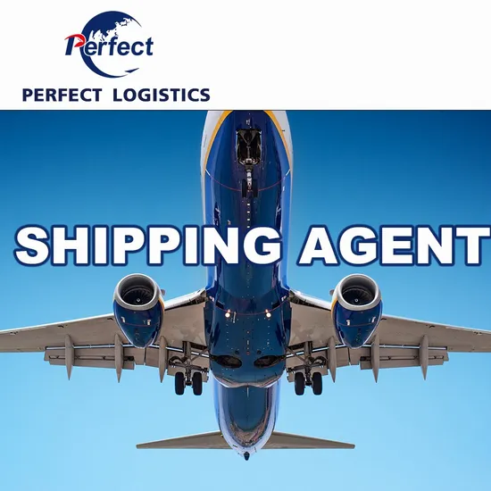 Drop Fast Freight Service DDP/DDU Air Shipping Agent Air Cargo From China to UK, De Dk, USA UAE