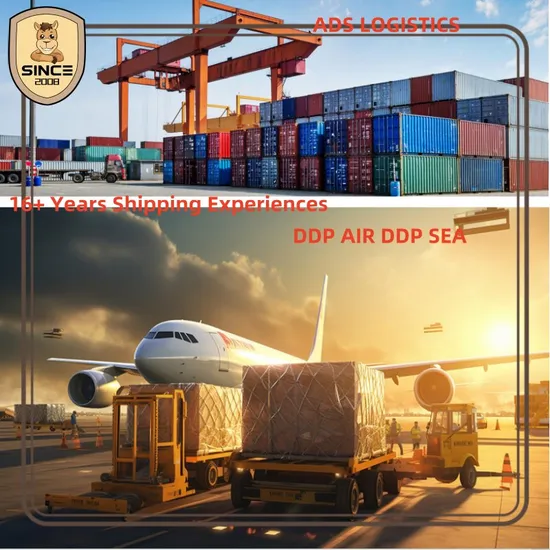 DDP Air Sea Shipping with Middle East Special Line Deliver to Saudi Arabia Qatar UAE Ika