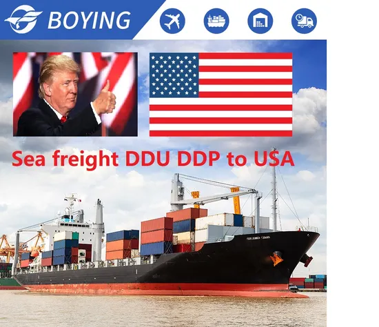 20 Years Fast Delivery Air Shipping Sea Freight Forwarder Logistics Shipping Agent From China to USA