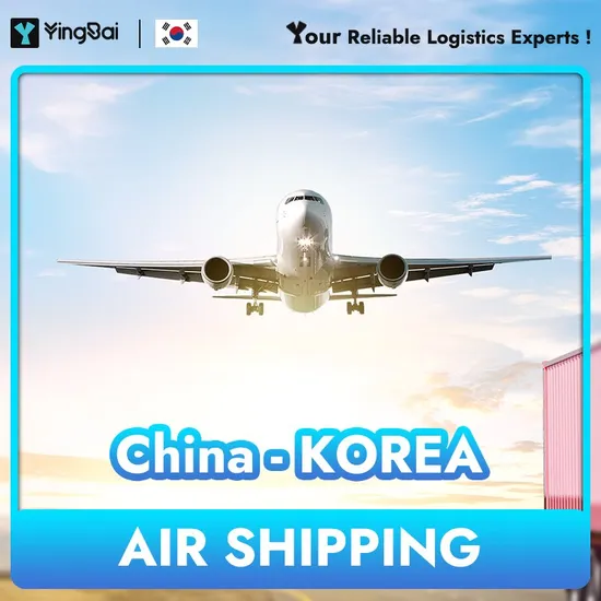 Affordable Sea Freight From China to South Korea Logistics Supplier Sea Shipping