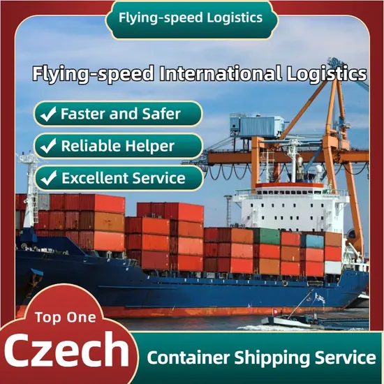 China to Czech/USA Best Sea Freight Shipping Agent, Freight Forwarder/Logistics