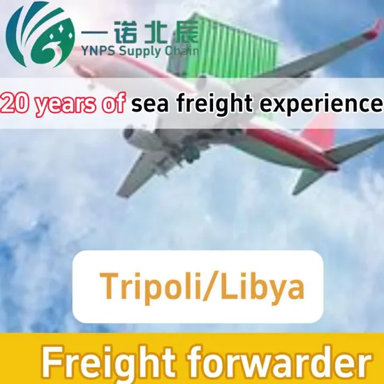 Professional International Shipping DHL/FedEx/UPS Express Air Freight From China to Egypt, Libya, Sudan Shipping Agent