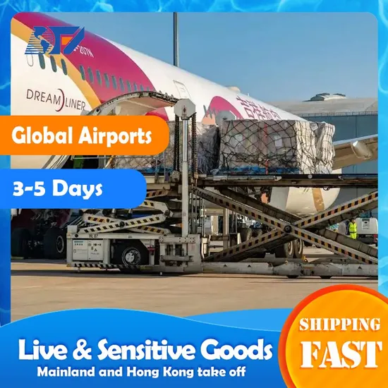 Professional Air Freight Forwarder DHL FedEx UPS TNT Express Global Airfreight Shipping Agent From China to Morocco