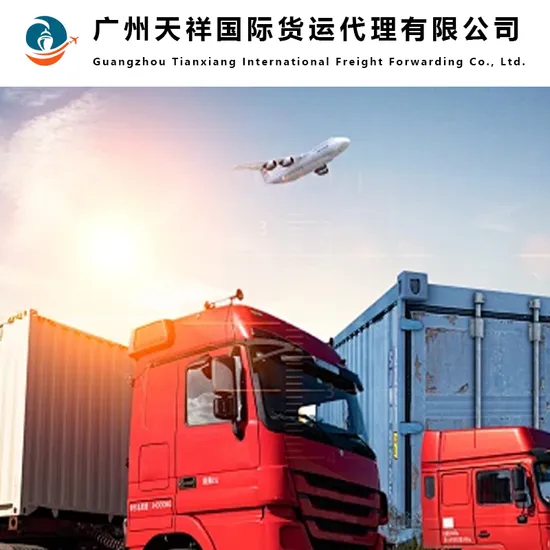 FCL LCL Sea Shipping Agent Freight Forwarder From China to Russia, Belarus, Sourcing Agent/Purchasing Agent