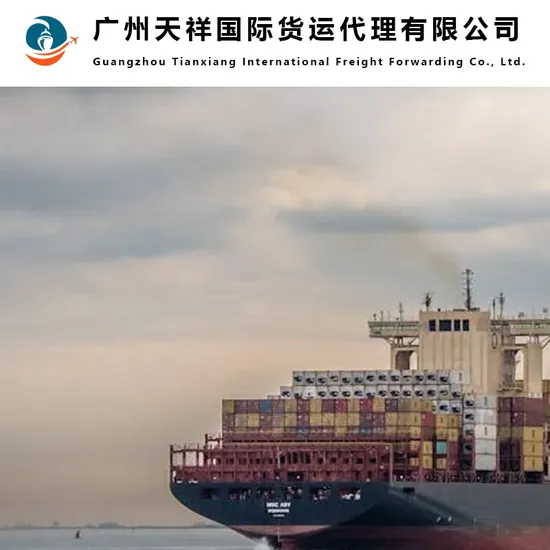 Fast FCL Shipping Agent Freight Forwarder From China to Russia, Belarus, Sourcing Agent/Purchasing Agent
