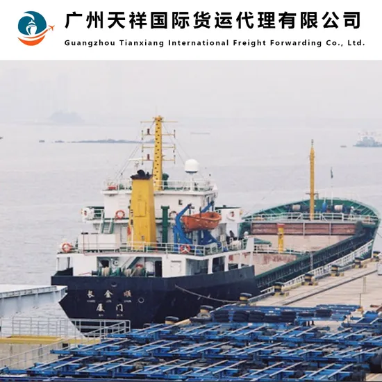 FCL LCL Railway Shipping Agent Freight Forwarder From China to Russia, Belarus, Sourcing Agent/Purchasing Agent