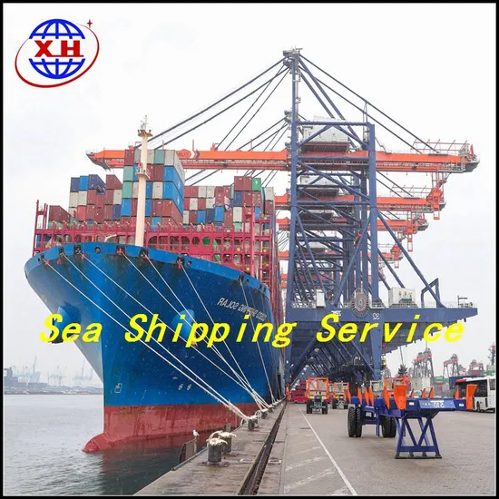 FCL LCL From China Sea Freight Forwarder Fast and Safety Shipping to USA New York Los Angeles
