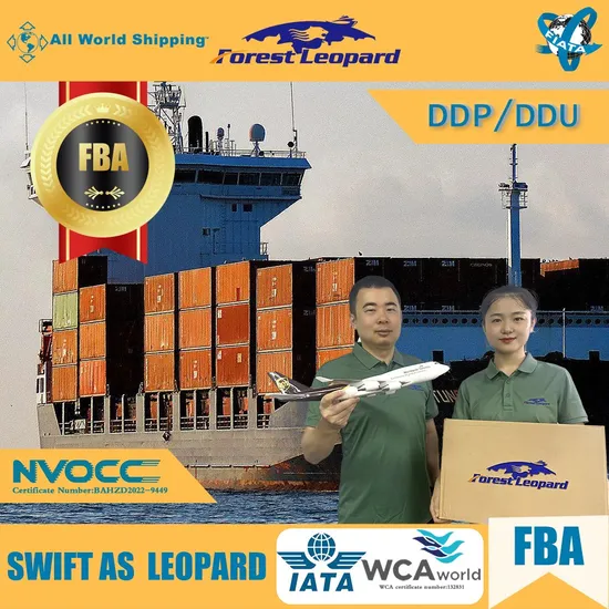 Top 10 Logistics Company DDP Door to Door Sea Shipping From China to USA Professional Sea Freight Forwarder USA Fba 20days