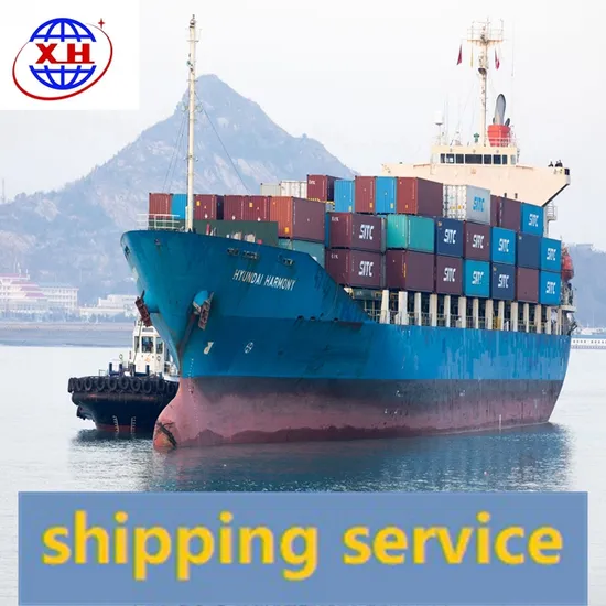 Reliable Stable Fast Cheap Freight Forwarder Logistic Agent Sea Shipping to Canada DDP
