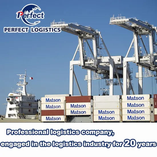Express, by Air/Sea/Railway/Truck Cargo/Freight/Shipping Container LCL Forwarder/Agent From China to Vilnius, Lithuania Amazon/Fba DDP/DDU Logistics