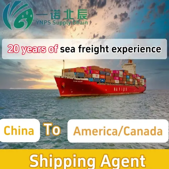 Shipping Agen Provide Low-Cost Air/Sea/Export/Rail/DDP Services From China to The United States, Canada, and Mexico Drop Shipping Logistic Service
