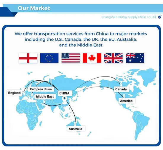 International Door-to-Door Freight Forwarder for LCL+Express