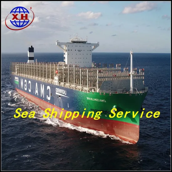 Ocean International Freight Forwarder Sea Shipping From China to USA Canada DDP Service